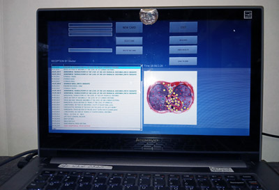 Vector Biofeedback System Vector Biofeedback System