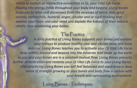 Living Bones – Inside Cover 3 Living Bones - Inside Cover 3
