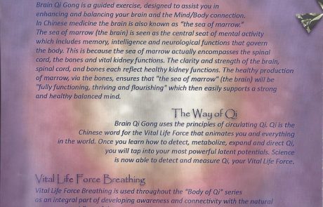 Brain Qi Gong – Inside Cover 1 Brain Qi Gong - Inside Cover 1