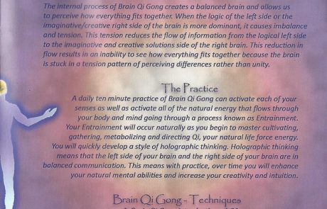 Brain Qi Gong – Inside Cover 3 Brain Qi Gong - Inside Cover 3