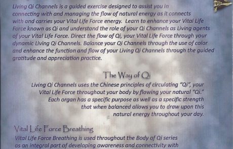Living Qi – Inside Cover 1 Living Qi - Inside Cover 1