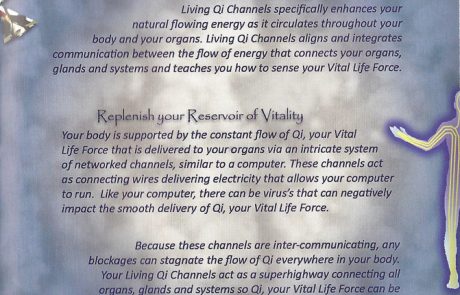 Living Qi – Inside Cover 2 Living Qi - Inside Cover 2
