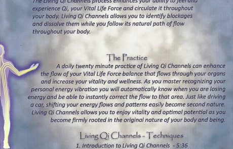 Living Qi – Inside Cover 3 Living Qi - Inside Cover 3